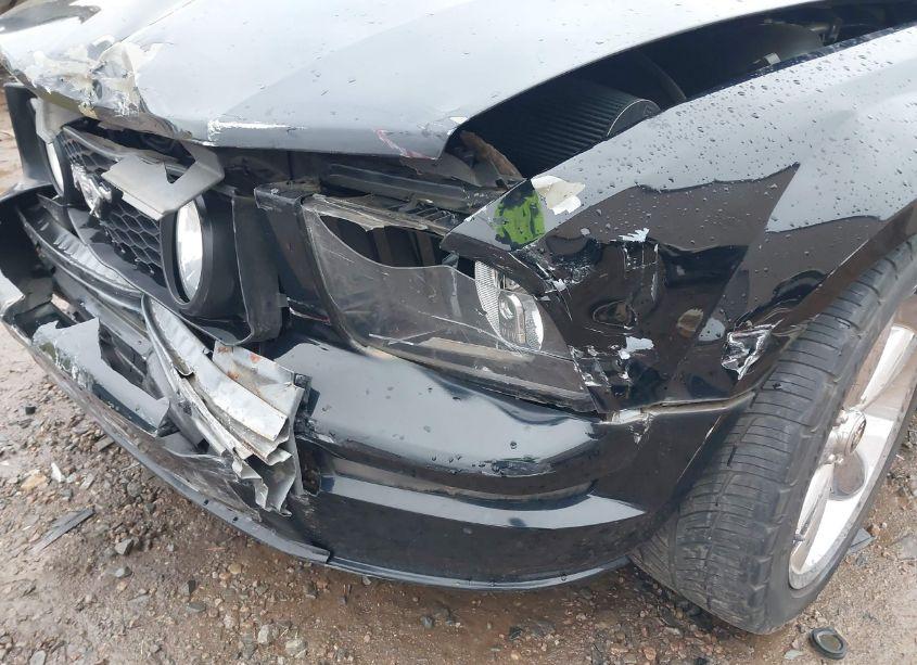 Photo 6 of 2009 Ford Mustang GT/GT PREMIUM (VIN 1ZVHT82H595107196)