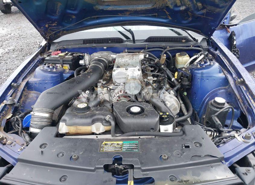 Photo 10 of 2005 Ford Mustang GT DELUXE/GT PREMIUM (VIN 1ZVHT82H655131923)