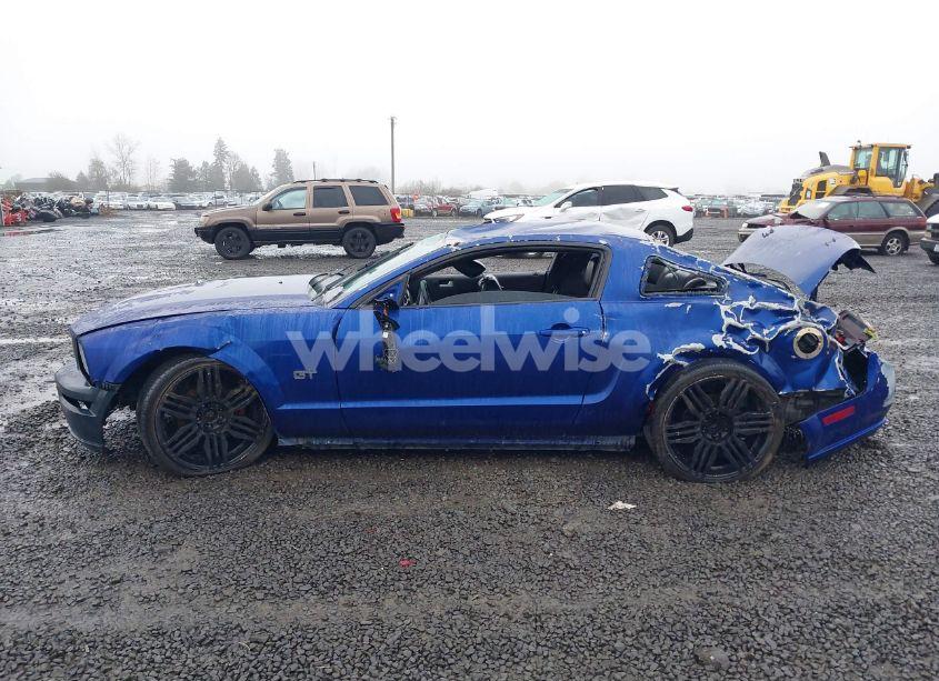 Photo 14 of 2005 Ford Mustang GT DELUXE/GT PREMIUM (VIN 1ZVHT82H655131923)