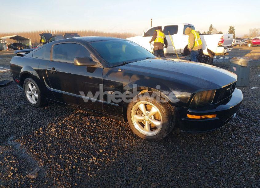 2005 Ford Mustang GT DELUXE/GT PREMIUM (VIN 1ZVHT82H655196268) main photo