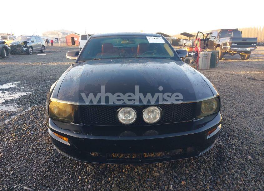 Photo 12 of 2005 Ford Mustang GT DELUXE/GT PREMIUM (VIN 1ZVHT82H655196268)