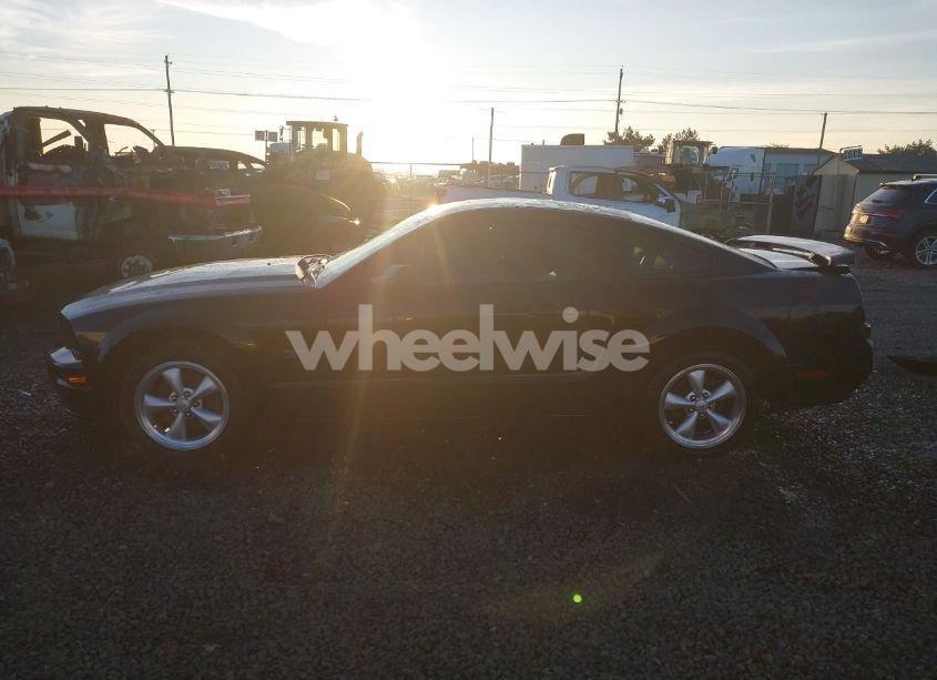 Photo 14 of 2005 Ford Mustang GT DELUXE/GT PREMIUM (VIN 1ZVHT82H655196268)