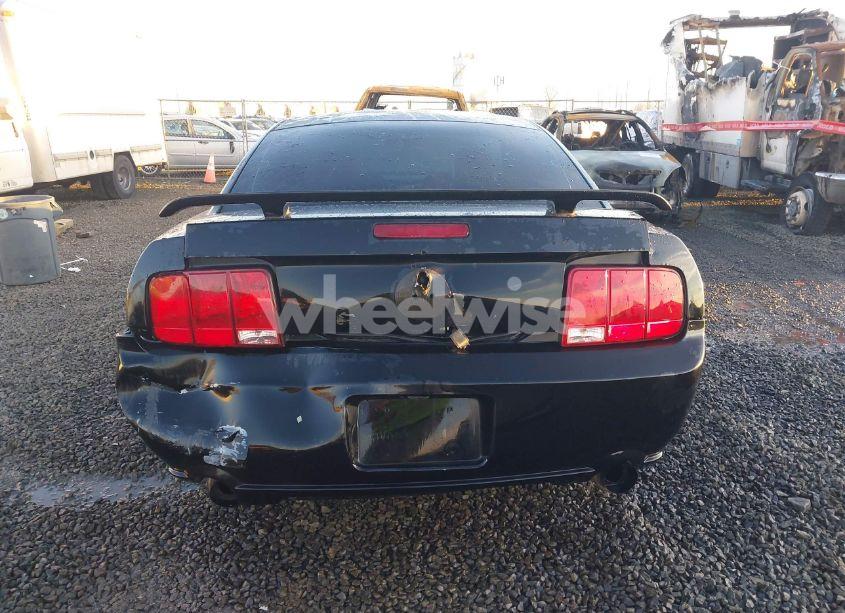 Photo 16 of 2005 Ford Mustang GT DELUXE/GT PREMIUM (VIN 1ZVHT82H655196268)