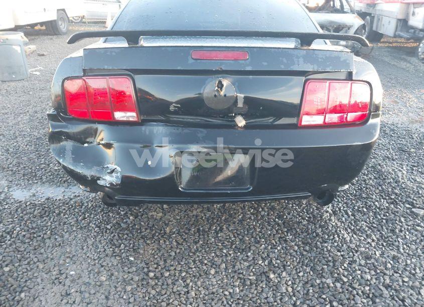 Photo 6 of 2005 Ford Mustang GT DELUXE/GT PREMIUM (VIN 1ZVHT82H655196268)