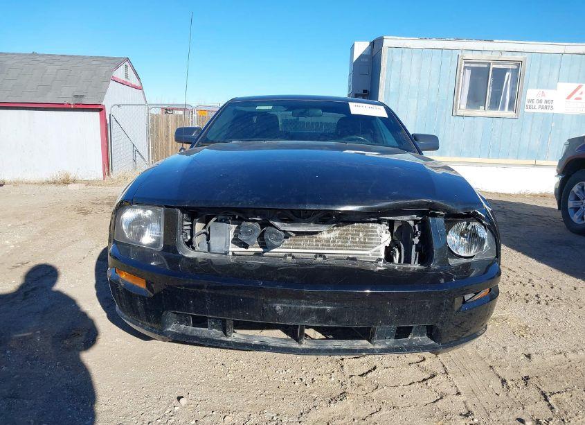 Photo 13 of 2006 Ford Mustang GT (VIN 1ZVHT82H665172473)