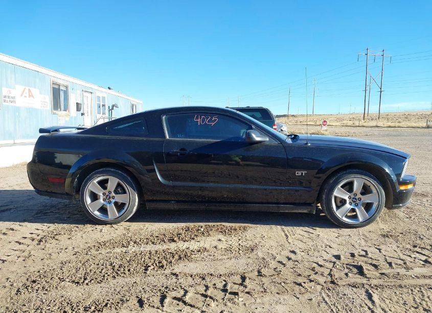 Photo 14 of 2006 Ford Mustang GT (VIN 1ZVHT82H665172473)