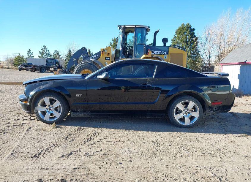 Photo 15 of 2006 Ford Mustang GT (VIN 1ZVHT82H665172473)