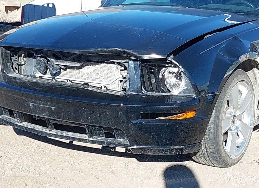 Photo 6 of 2006 Ford Mustang GT (VIN 1ZVHT82H665172473)