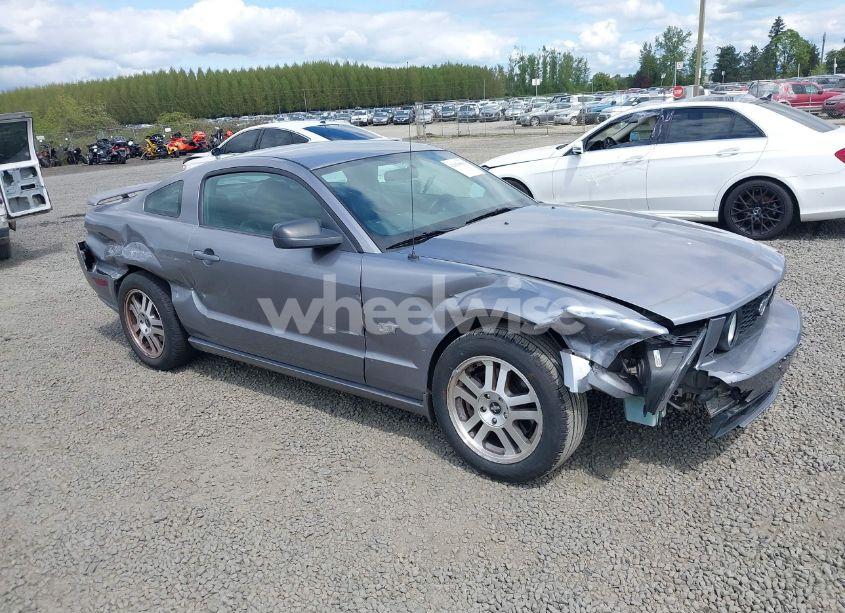 2006 Ford Mustang GT (VIN 1ZVHT82H665196353) main photo