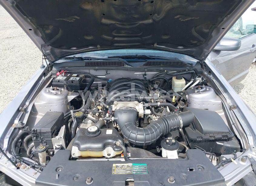 Photo 10 of 2006 Ford Mustang GT (VIN 1ZVHT82H665196353)