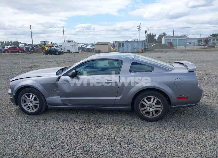 Photo 14 of 2006 Ford Mustang GT (VIN 1ZVHT82H665196353)