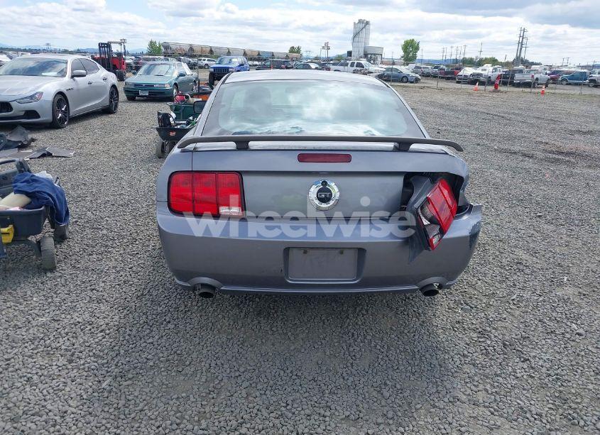Photo 16 of 2006 Ford Mustang GT (VIN 1ZVHT82H665196353)
