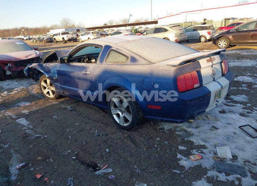 Photo 3 of 2006 Ford Mustang GT (VIN 1ZVHT82H665237614)