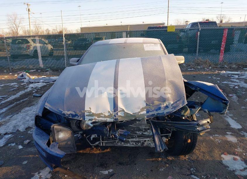 Photo 6 of 2006 Ford Mustang GT (VIN 1ZVHT82H665237614)