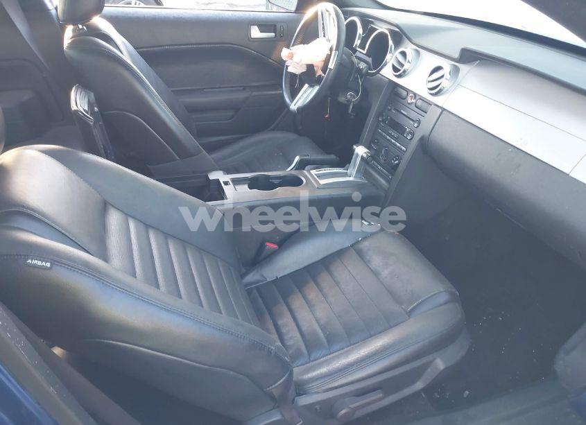 Photo 8 of 2006 Ford Mustang GT (VIN 1ZVHT82H665237614)