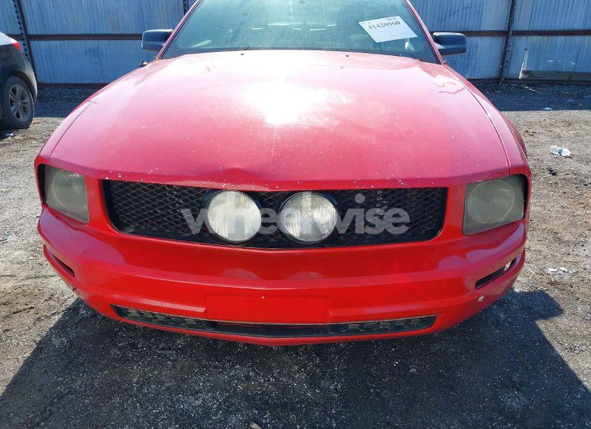 Photo 12 of 2007 Ford Mustang GT DELUXE/GT PREMIUM (VIN 1ZVHT82H675232043)