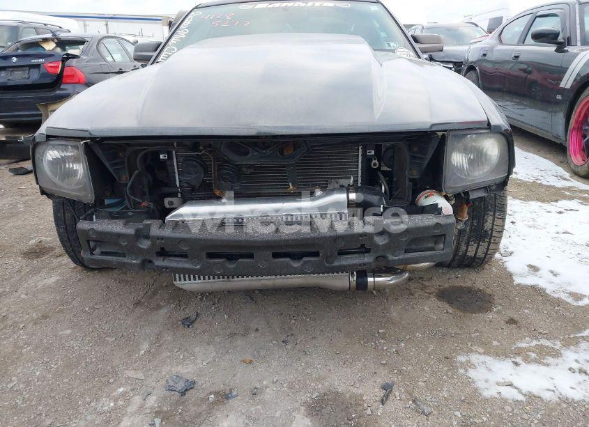 Photo 6 of 2008 Ford Mustang GT PREMIUM (VIN 1ZVHT82H685147219)