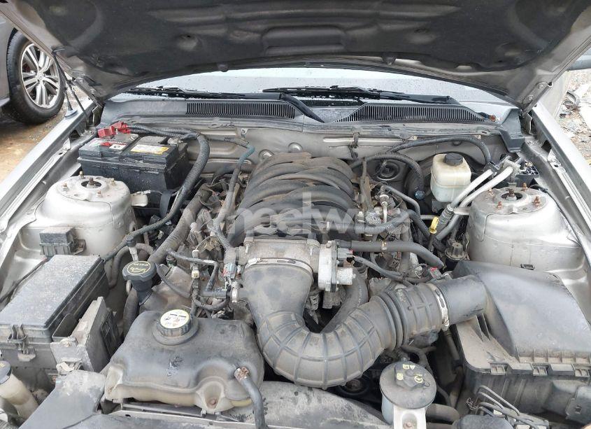 Photo 10 of 2008 Ford Mustang GT DELUXE/GT PREMIUM (VIN 1ZVHT82H685182780)