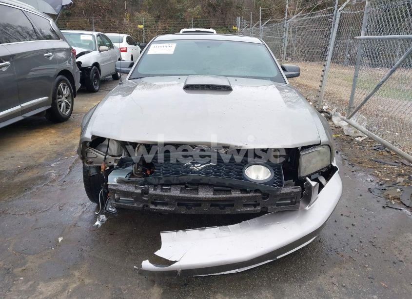 Photo 12 of 2008 Ford Mustang GT DELUXE/GT PREMIUM (VIN 1ZVHT82H685182780)