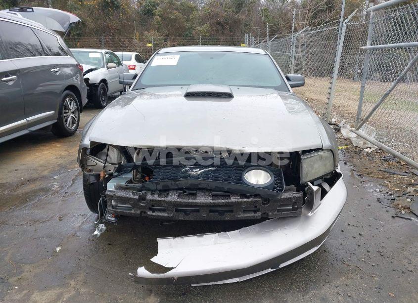 Photo 6 of 2008 Ford Mustang GT DELUXE/GT PREMIUM (VIN 1ZVHT82H685182780)