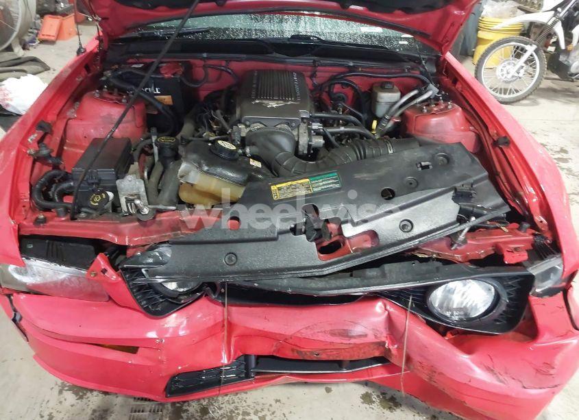 Photo 10 of 2008 Ford Mustang GT DELUXE/GT PREMIUM (VIN 1ZVHT82H685191785)