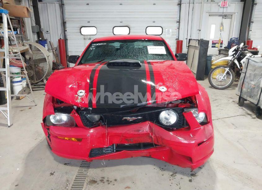 Photo 12 of 2008 Ford Mustang GT DELUXE/GT PREMIUM (VIN 1ZVHT82H685191785)