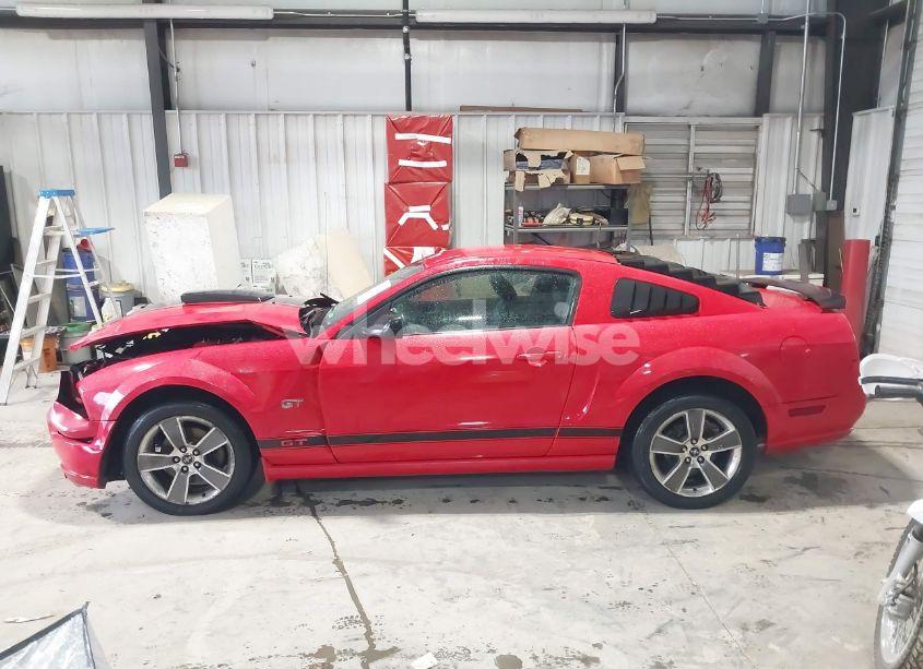 Photo 14 of 2008 Ford Mustang GT DELUXE/GT PREMIUM (VIN 1ZVHT82H685191785)
