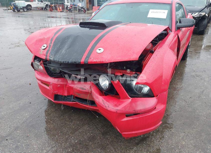 Photo 6 of 2008 Ford Mustang GT DELUXE/GT PREMIUM (VIN 1ZVHT82H685191785)