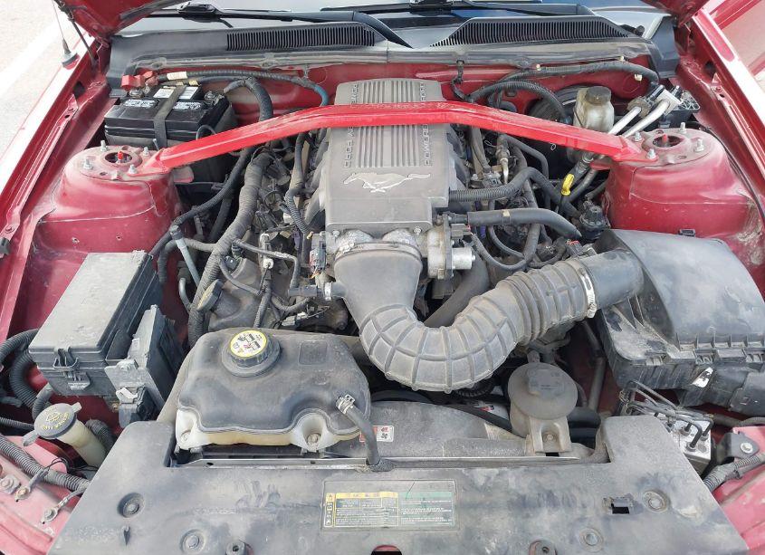 Photo 10 of 2009 Ford Mustang GT/GT PREMIUM (VIN 1ZVHT82H695127635)