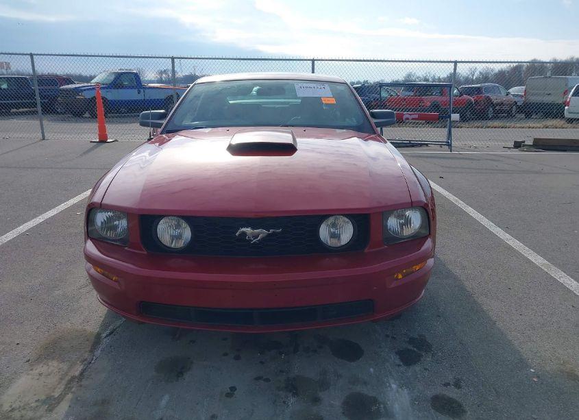 Photo 12 of 2009 Ford Mustang GT/GT PREMIUM (VIN 1ZVHT82H695127635)