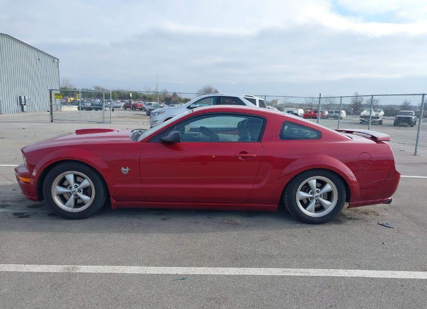 Photo 14 of 2009 Ford Mustang GT/GT PREMIUM (VIN 1ZVHT82H695127635)