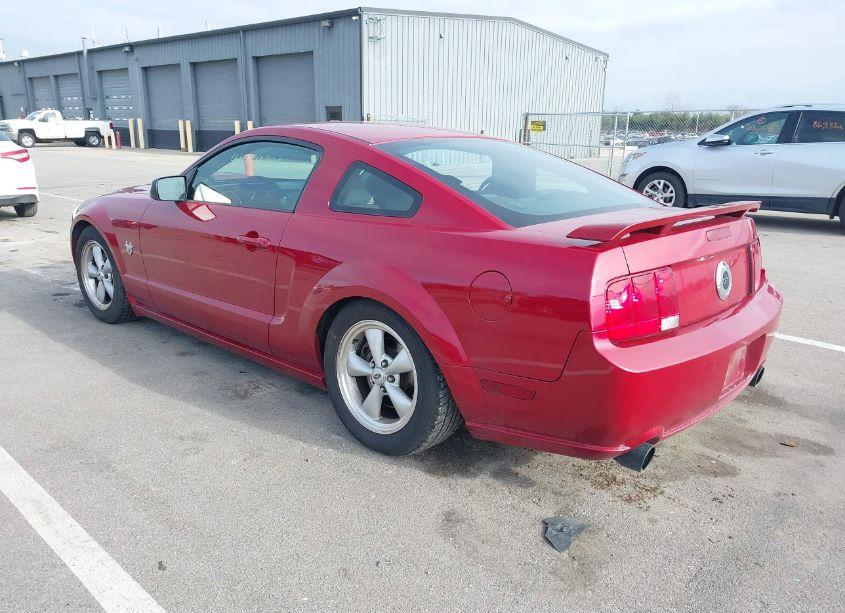 Photo 3 of 2009 Ford Mustang GT/GT PREMIUM (VIN 1ZVHT82H695127635)