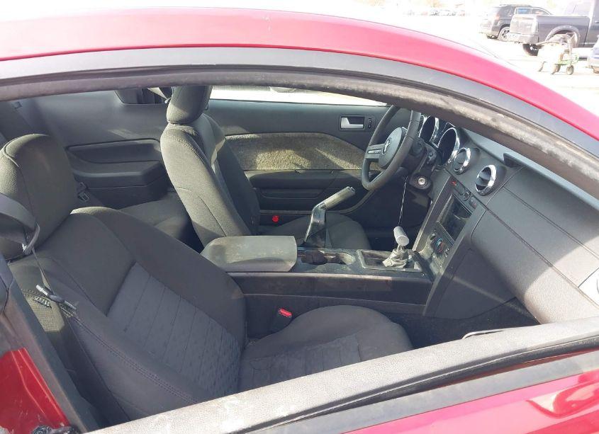 Photo 5 of 2009 Ford Mustang GT/GT PREMIUM (VIN 1ZVHT82H695127635)