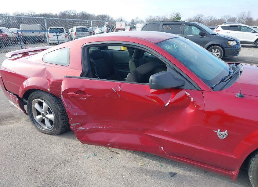 Photo 6 of 2009 Ford Mustang GT/GT PREMIUM (VIN 1ZVHT82H695127635)