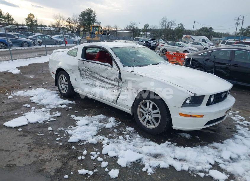2006 Ford Mustang GT (VIN 1ZVHT82H765209711) main photo