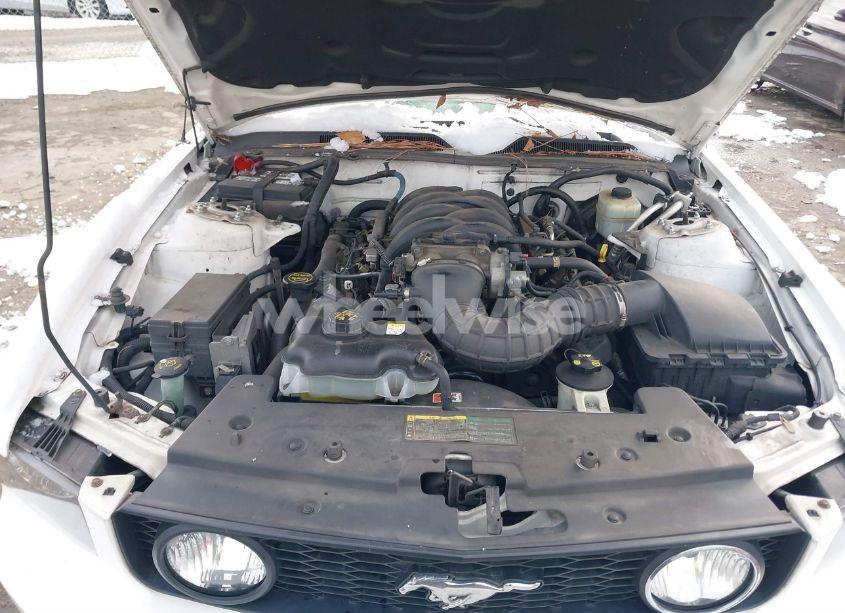 Photo 10 of 2006 Ford Mustang GT (VIN 1ZVHT82H765209711)