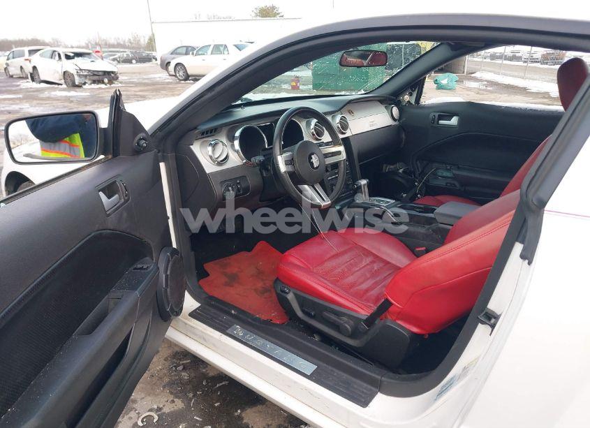 Photo 11 of 2006 Ford Mustang GT (VIN 1ZVHT82H765209711)