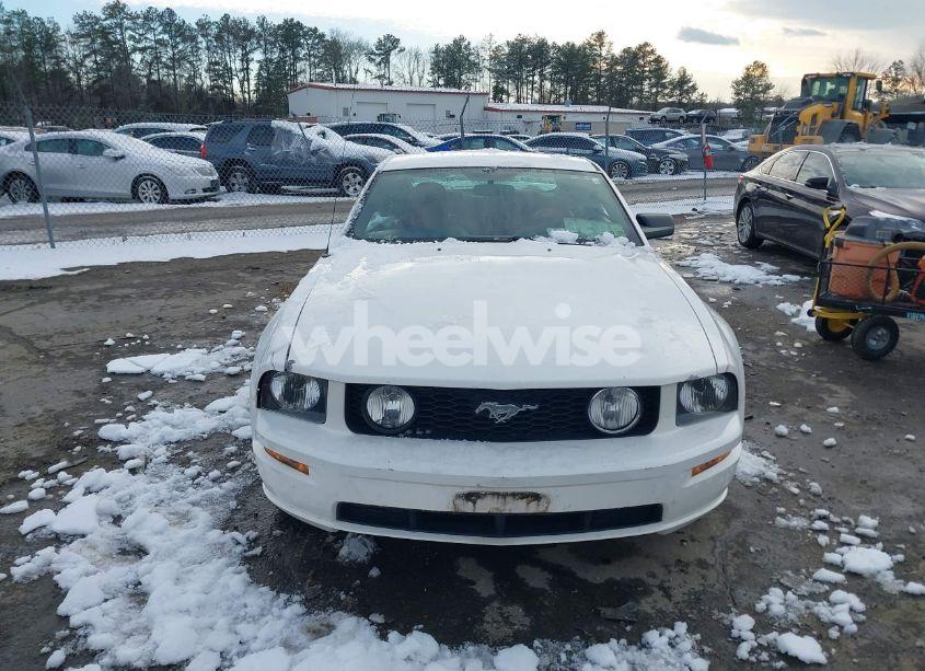 Photo 12 of 2006 Ford Mustang GT (VIN 1ZVHT82H765209711)