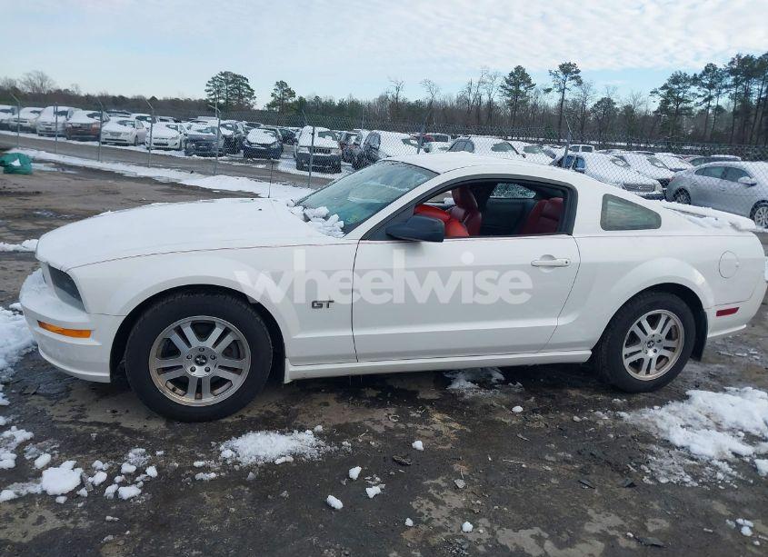 Photo 14 of 2006 Ford Mustang GT (VIN 1ZVHT82H765209711)