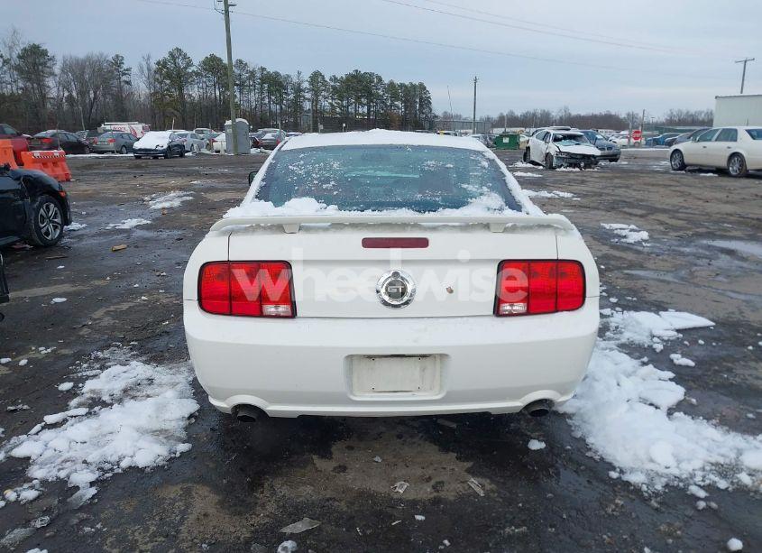 Photo 16 of 2006 Ford Mustang GT (VIN 1ZVHT82H765209711)
