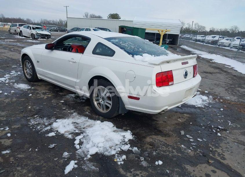 Photo 3 of 2006 Ford Mustang GT (VIN 1ZVHT82H765209711)