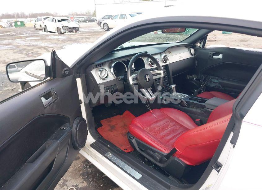 Photo 5 of 2006 Ford Mustang GT (VIN 1ZVHT82H765209711)