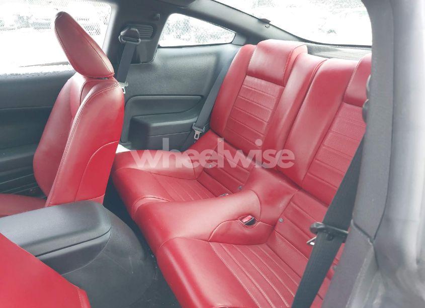 Photo 8 of 2006 Ford Mustang GT (VIN 1ZVHT82H765209711)