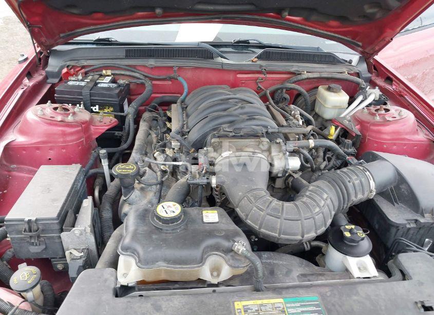 Photo 10 of 2006 Ford Mustang GT (VIN 1ZVHT82H765236567)