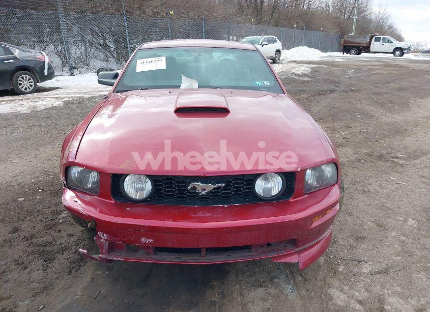 Photo 13 of 2006 Ford Mustang GT (VIN 1ZVHT82H765236567)