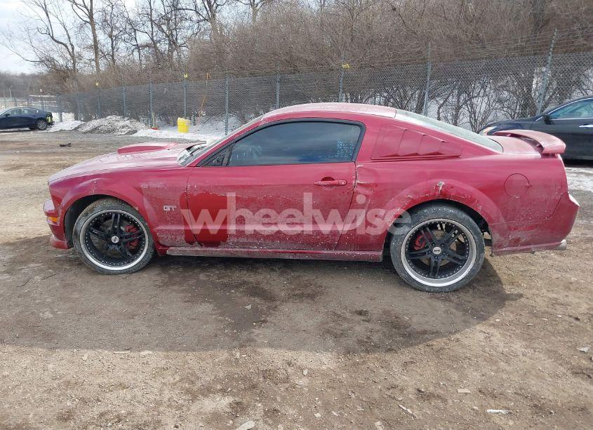Photo 15 of 2006 Ford Mustang GT (VIN 1ZVHT82H765236567)