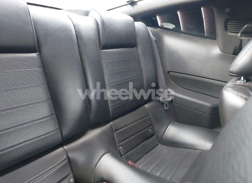 Photo 8 of 2006 Ford Mustang GT (VIN 1ZVHT82H765236567)