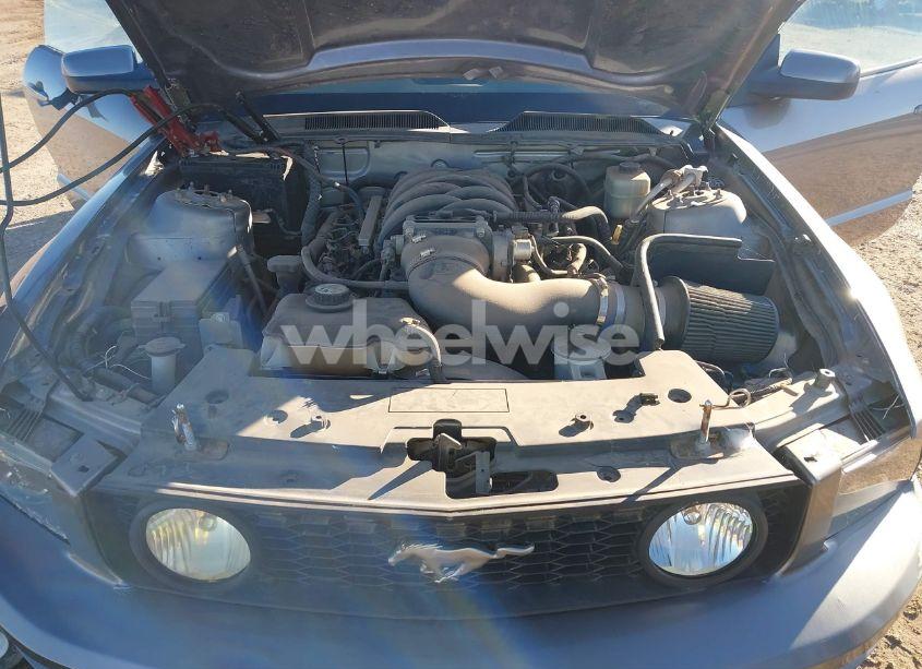 Photo 10 of 2008 Ford Mustang GT DELUXE/GT PREMIUM (VIN 1ZVHT82H785152770)