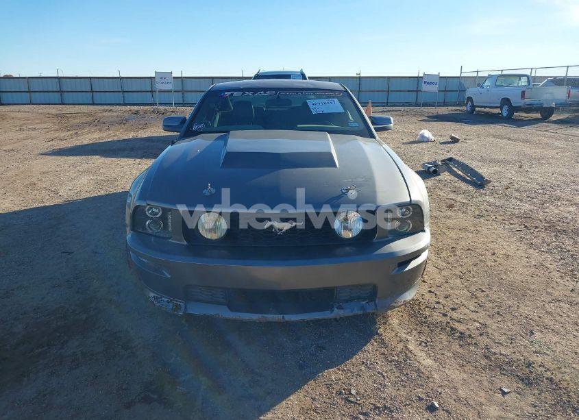 Photo 13 of 2008 Ford Mustang GT DELUXE/GT PREMIUM (VIN 1ZVHT82H785152770)