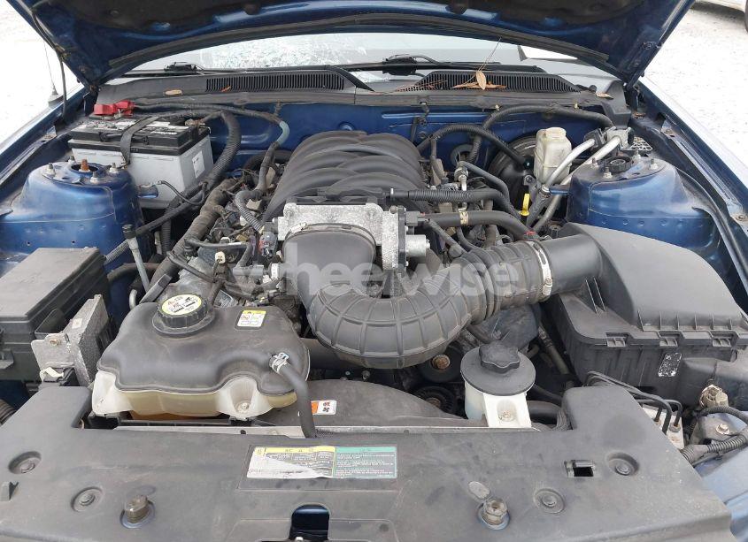 Photo 10 of 2009 Ford Mustang GT/GT PREMIUM (VIN 1ZVHT82H795120581)